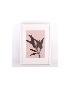 Картина панно с эвкалиптом розовый 32x42 см Wowbotanica