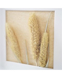 Панно с золотой пшеницей мультиколор 25x25 см Wowbotanica