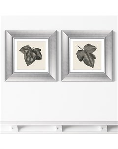 Набор из 2 х репродукций картин в раме rugosa from the ivy 1882г серый 35x35 см Картины в квартиру