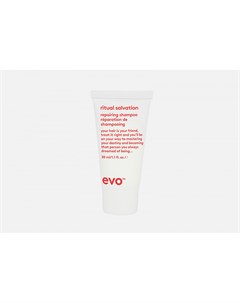 Шампунь для окрашенных волос мини формат Evo