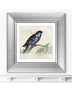 Репродукция картины в раме птицы винтажная почтовая открытка 1 1918г мультиколор 35x35 см Картины в квартиру