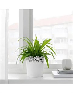 Горшок для растений Самверка 103 887 41 Ikea