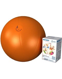 Фитбол гладкий Пласт Стандарт 55 см Orange Alpina
