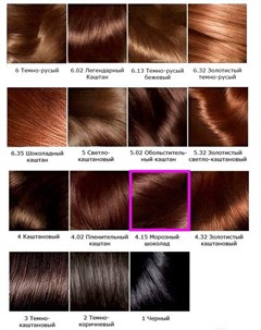 Гель краска для волос Preference 4 15 Каракас темный каштан L'oreal paris