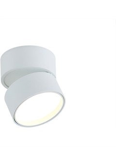 Накладной светильник DL18960R12W1W Donolux