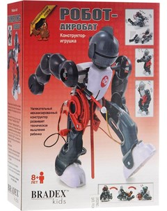 Конструктор Робот акробат DE 0118 Bradex