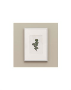 Панно с эвкалиптом зеленый 22x31 см Wowbotanica