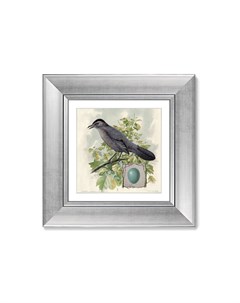 Репродукция картины в раме птицы винтажная почтовая открытка 4 1918г мультиколор 35x35 см Картины в квартиру