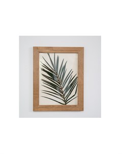 Панно с листом пальмы мультиколор 30x40 см Wowbotanica