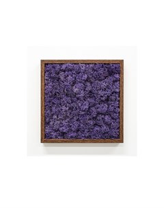 Панно с фиолетовым мхом фиолетовый 25x25 см Wowbotanica