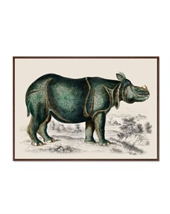 Репродукция картины на холсте rhinoceros 1774г мультиколор 105x75 см Картины в квартиру