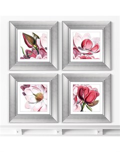Набор из 4 х репродукций картин в раме himalaya plants pink flower 1869г розовый 35x35 см Картины в квартиру