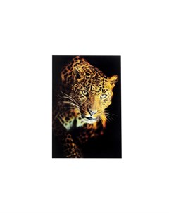 Картина leopard мультиколор 80x120 см Kare
