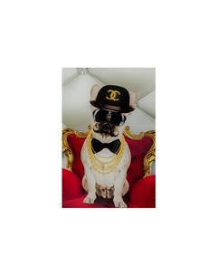 Картина bodyguards of king dog мультиколор 60x80 см Kare