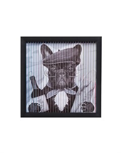 Картина в рамке bulldog мультиколор 43x43x4 см Kare