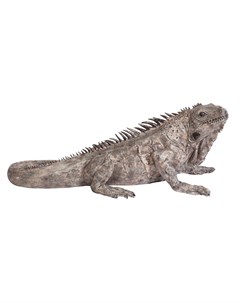 Статуэтка iguana серый 135x52x55 см Kare