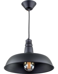 Потолочный подвесной светильник CL450204 Citilux