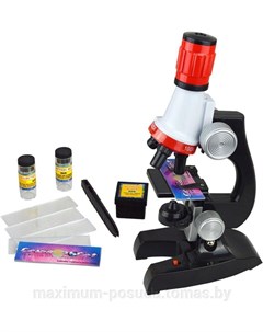 Развивающий игровой набор Детский микроскоп Профессор C2121 Maya toys