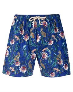 Плавки шорты Malindi Peninsula swimwear