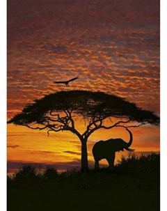 Фотообои African Sunset 4 501 194x270 Komar