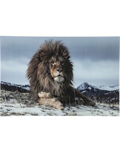 Картина proud lion мультиколор 180x120x4 см Kare