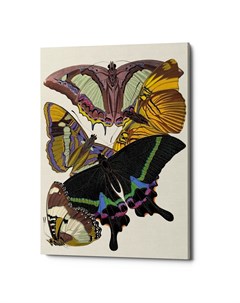 Картина бабочки мира версия 15 мультиколор 40x60x2 см Object desire