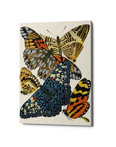 Картина бабочки мира версия 17 мультиколор 40x60x2 см Object desire