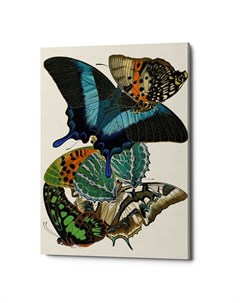 Картина бабочки мира версия 8 мультиколор 40x60x2 см Object desire