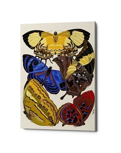 Картина бабочки мира версия 14 мультиколор 40x60x2 см Object desire
