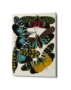 Картина бабочки мира версия 9 мультиколор 40x60x2 см Object desire