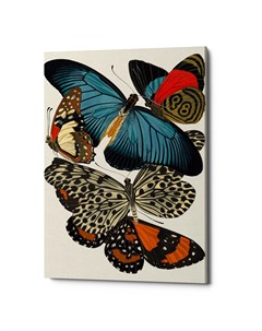 Картина бабочки мира версия 5 мультиколор 40x60x2 см Object desire