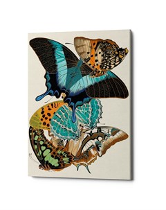 Картина бабочки мира версия 13 мультиколор 40x60x2 см Object desire
