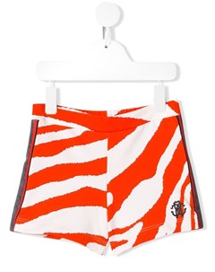 Трикотажные шорты с принтом Zebra Roberto cavalli junior
