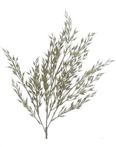 Новогоднее украшение Ветка Луговые травы серебро 220471 Greenterra