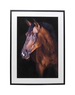 Картина в рамке horse мультиколор 78x108x3 см Kare
