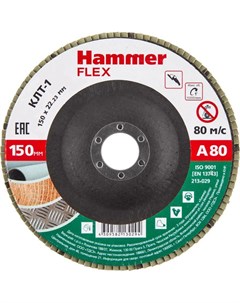 Шлифовальный круг Flex SE 213 029 Hammer