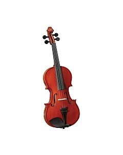 Скрипка Cervini