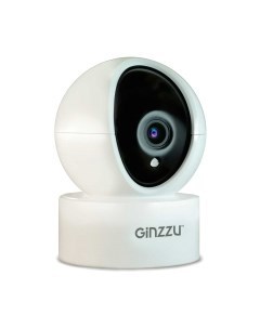 IP камера Ginzzu