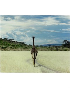 Картина savanne мультиколор 120x100x4 см Kare