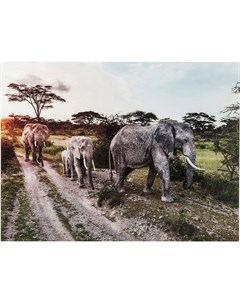 Картина elefant family мультиколор 120x160x4 см Kare