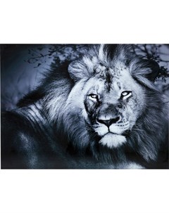 Картина lion king серый 160x120x4 см Kare
