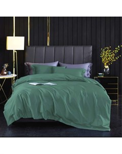 Комплект постельного белья евро зеленый зеленый 200x220 см Kingsilk
