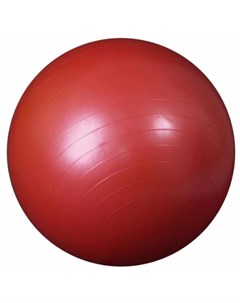 Мяч гимнастический 65 см с насосом Atlas sport