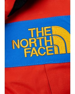 Куртка горнолыжная The north face
