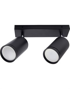 Светильник наст.-пот./спот ML202 41063 черн. (2*35Вт, GU10) Feron