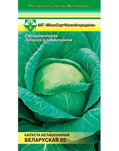 Семена Капуста Белорусская 85 б к 0 5г Минсксортсемовощ