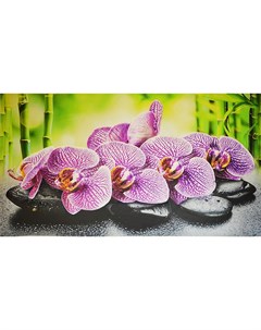 ПВХ панель панно Орхидея Ванда 602х1002мм Grace