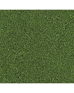 Линолеум Neo Grass 25 3 м Ivc