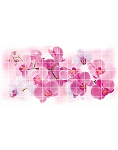 ПВХ панель листовая Мозаика Орхидея Розея 955х480х0 2мм Grace