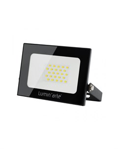 Прожектор светодиодный Lumin arte LFL 30W 05 30Вт 5700K IP65 черный Luminarte
